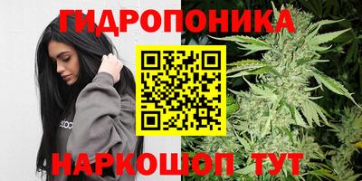 стаф Краснодар
