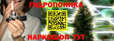 стаф Краснодар