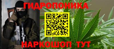 стаф Краснодар