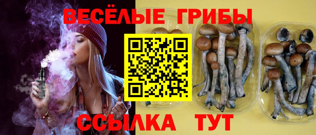 Галлюциногенные грибы ЛСД Зима