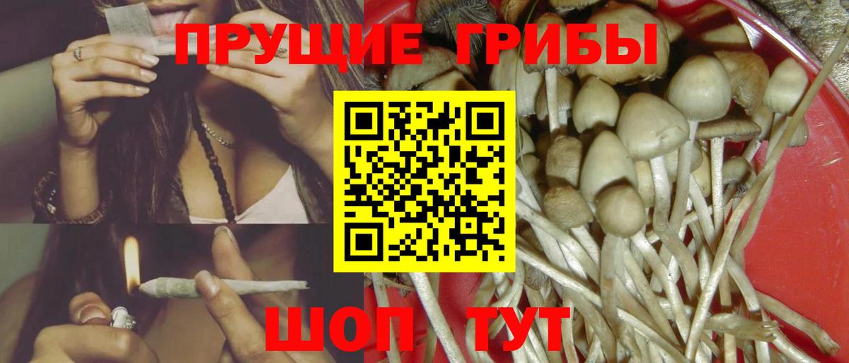 Галлюциногенные грибы Psilocybine cubensis  Вход с VPN  Зима  Галлюциногенные грибы Magic Shrooms 